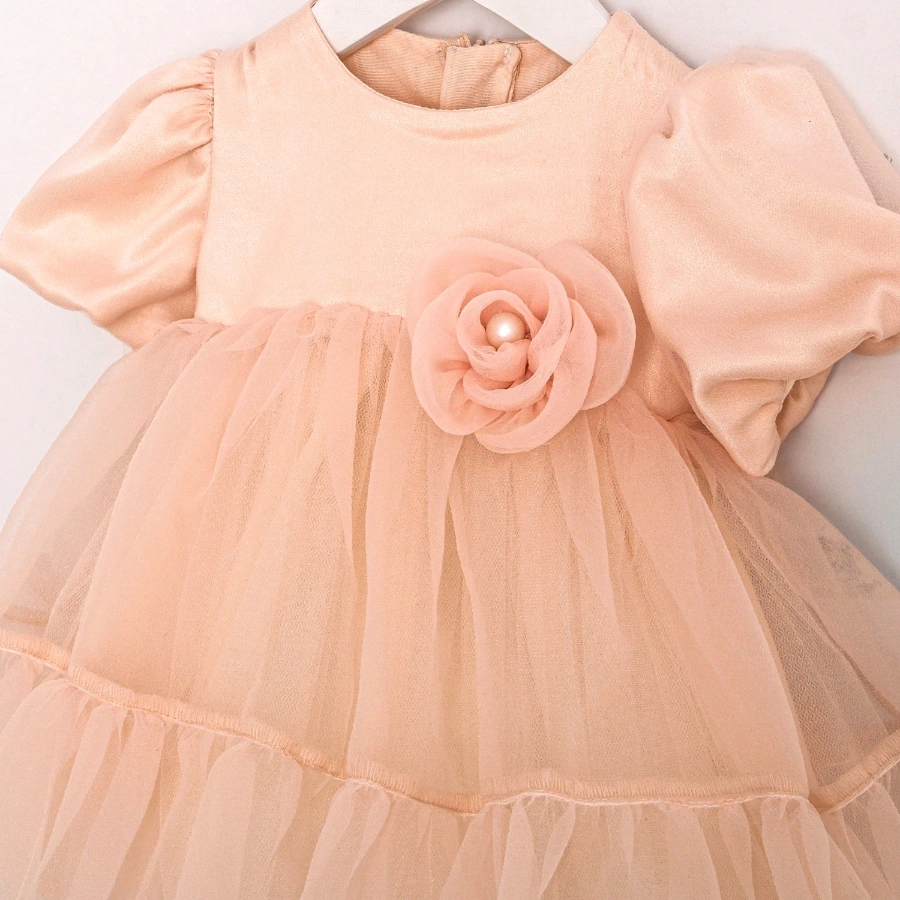Blush Petal Baby Girl Dress - Image 3