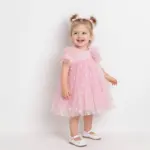 Little Fleur Baby Girl Dress